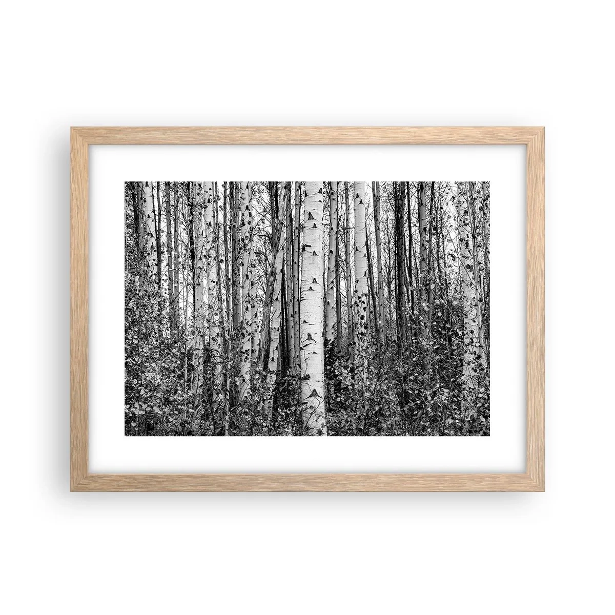 Affisch i ram av ljusek - Björkpelargång - 40x30 cm