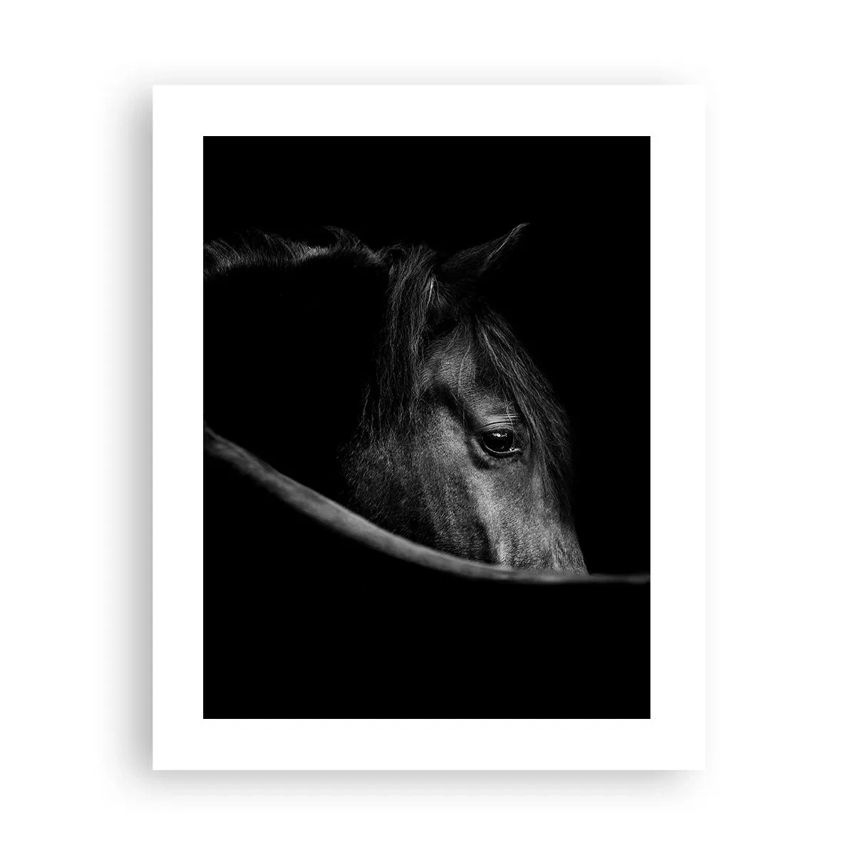 Affisch - Svart prins - 40x50 cm