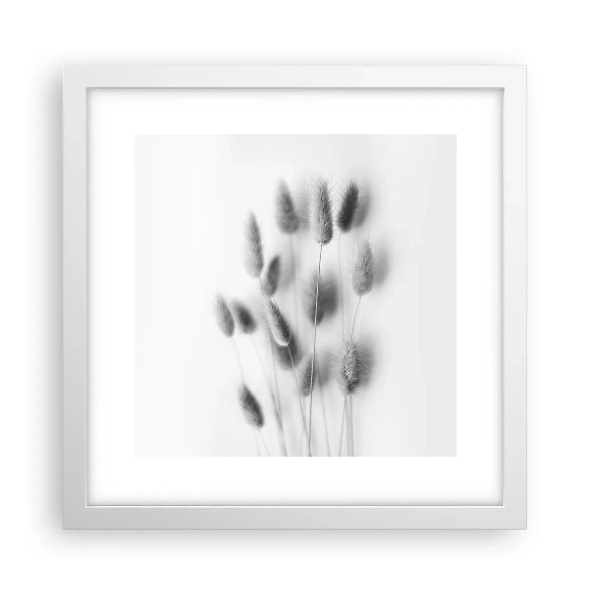 Affisch i vit ram - Fluffigt gräs - 30x30 cm