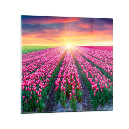 Glastavla - Bild på glas - Skönhetsfarmen - 60x60 cm