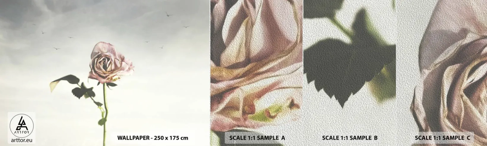 Provbit av fototapet Premium Sand - Vårens välkomst - Reste sig, Blomma, Bit - 100x30 cm