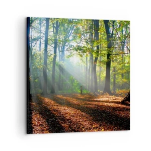 Canvastavla - Bild på duk - Sken-och skuggspel - 50x50 cm