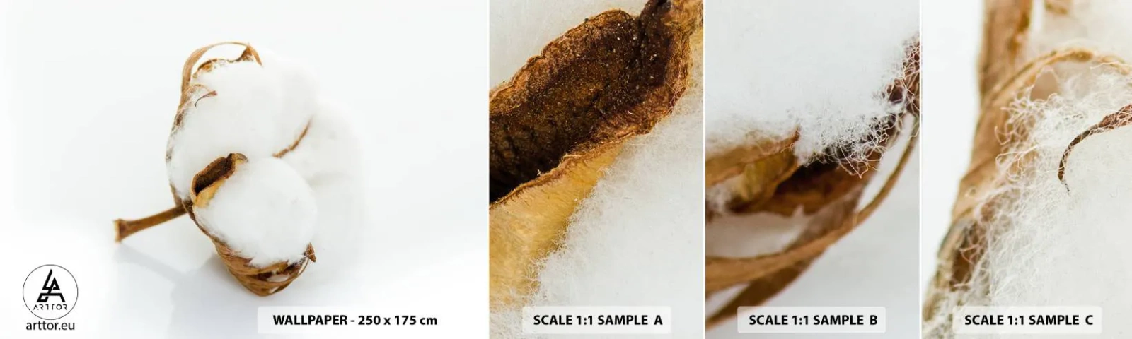 Fototapet Prov Standard Eco - Mjuk av naturen - Bomull, Minimalistisk, Blomma - 100x30 cm
