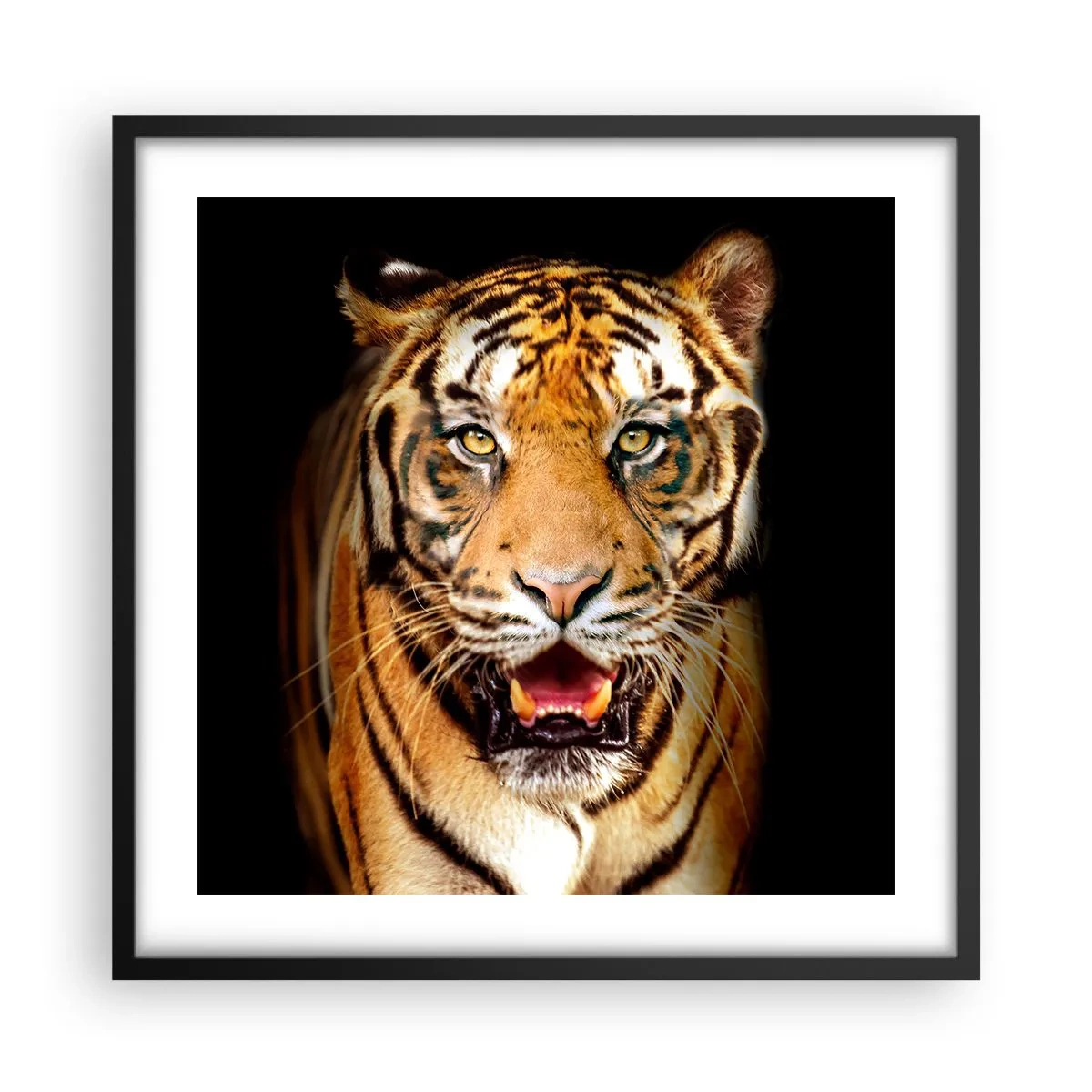 Affisch i svart ram - Vilt hjärta - 50x50 cm