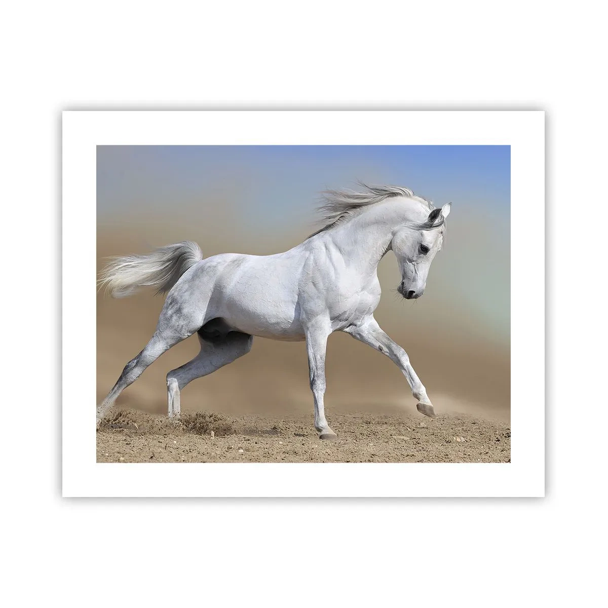 Affisch - Den vackraste arabiska sagan - 50x40 cm