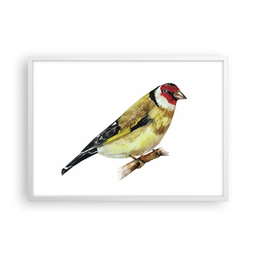Affisch i vit ram - Fågelporträtt - 70x50 cm