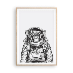 Affisch i ram av ljusek - Alternativ evolution - 70x100 cm