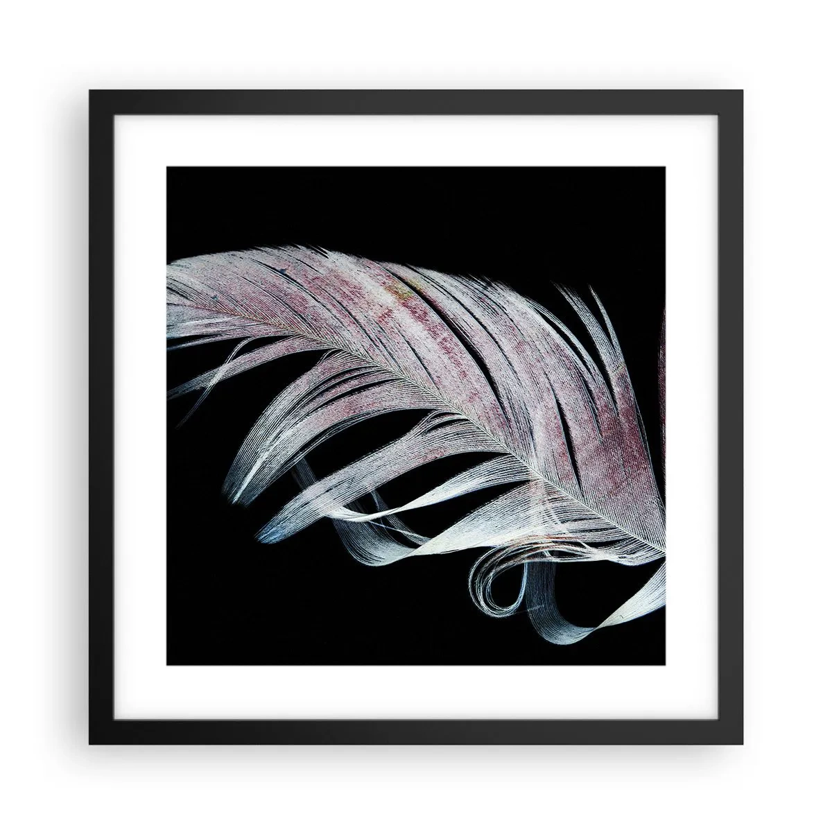Affisch i svart ram - Tänk på smekning - 40x40 cm