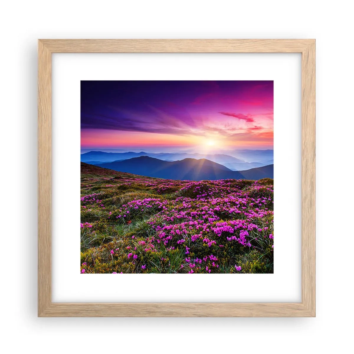 Affisch i ram av ljusek - Doftande örter - 30x30 cm