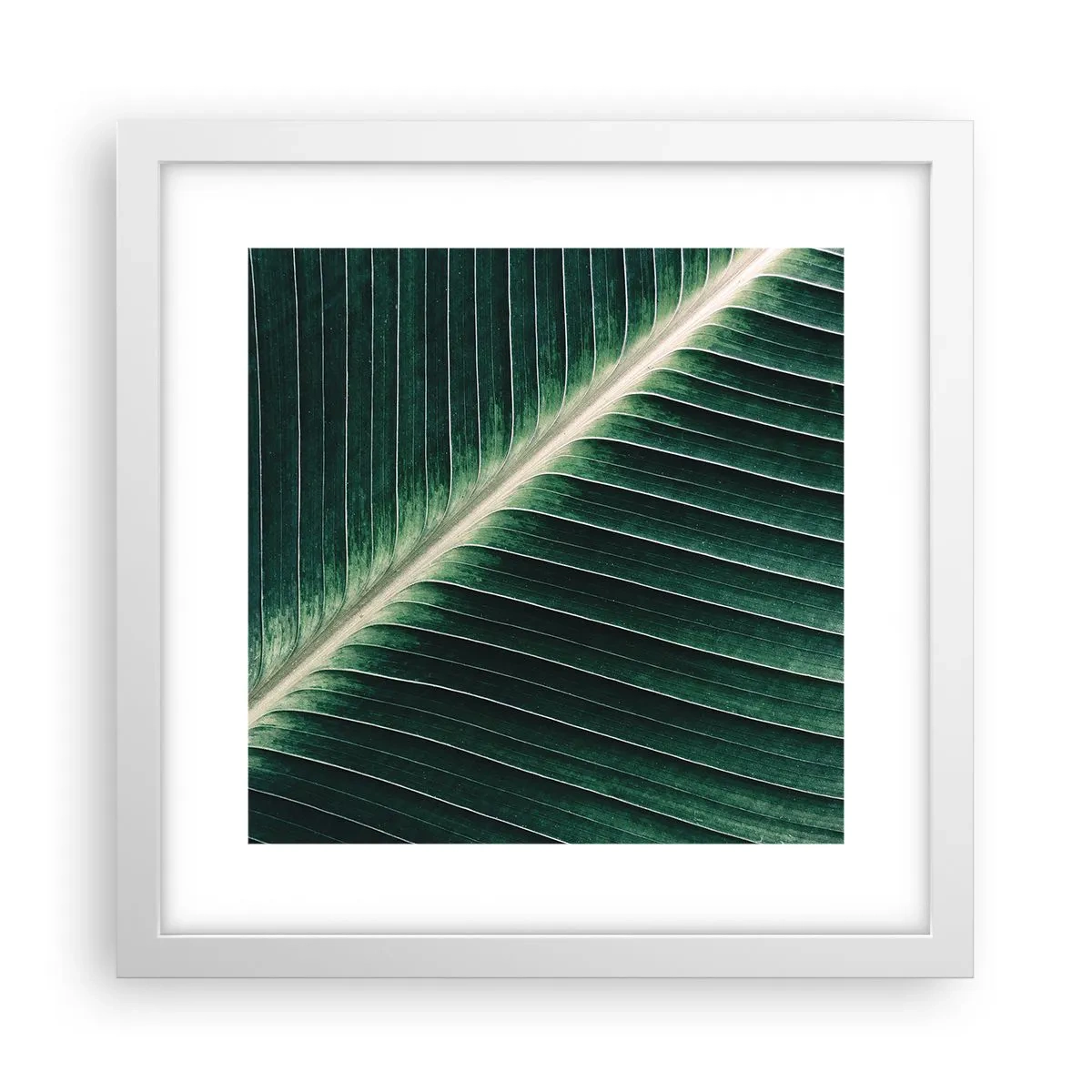 Affisch i vit ram - Naturens rytm - 30x30 cm