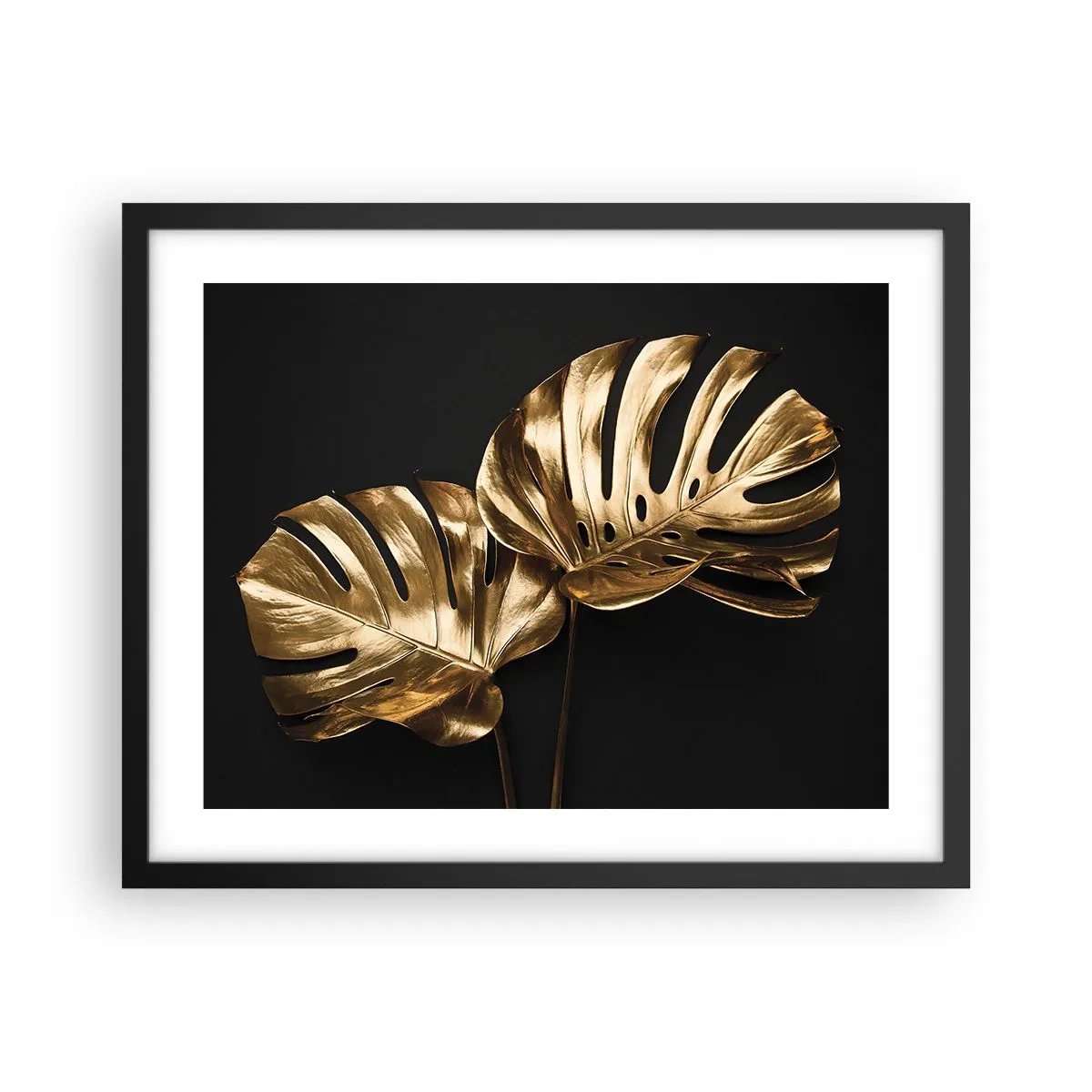 Affisch i svart ram - Naturens skatter - 50x40 cm