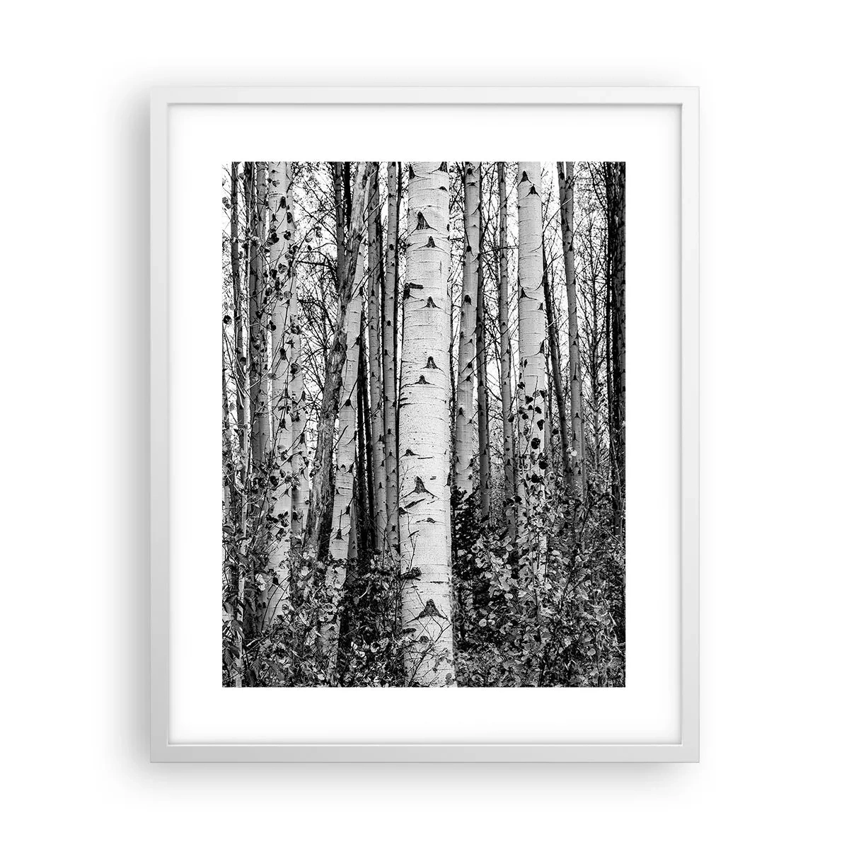 Affisch i vit ram - Björkpelargång - 40x50 cm