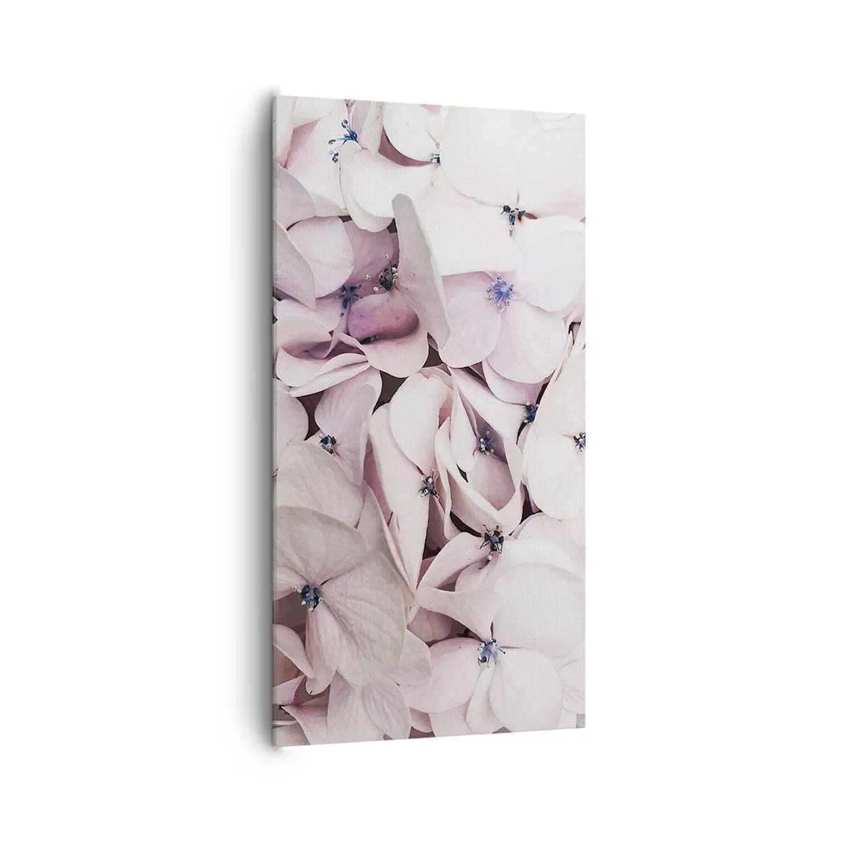 Canvastavla - Bild på duk - I en flod av blommor - 65x120 cm