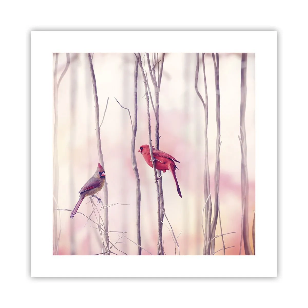 Affisch - Rosa skogens saga - 40x40 cm