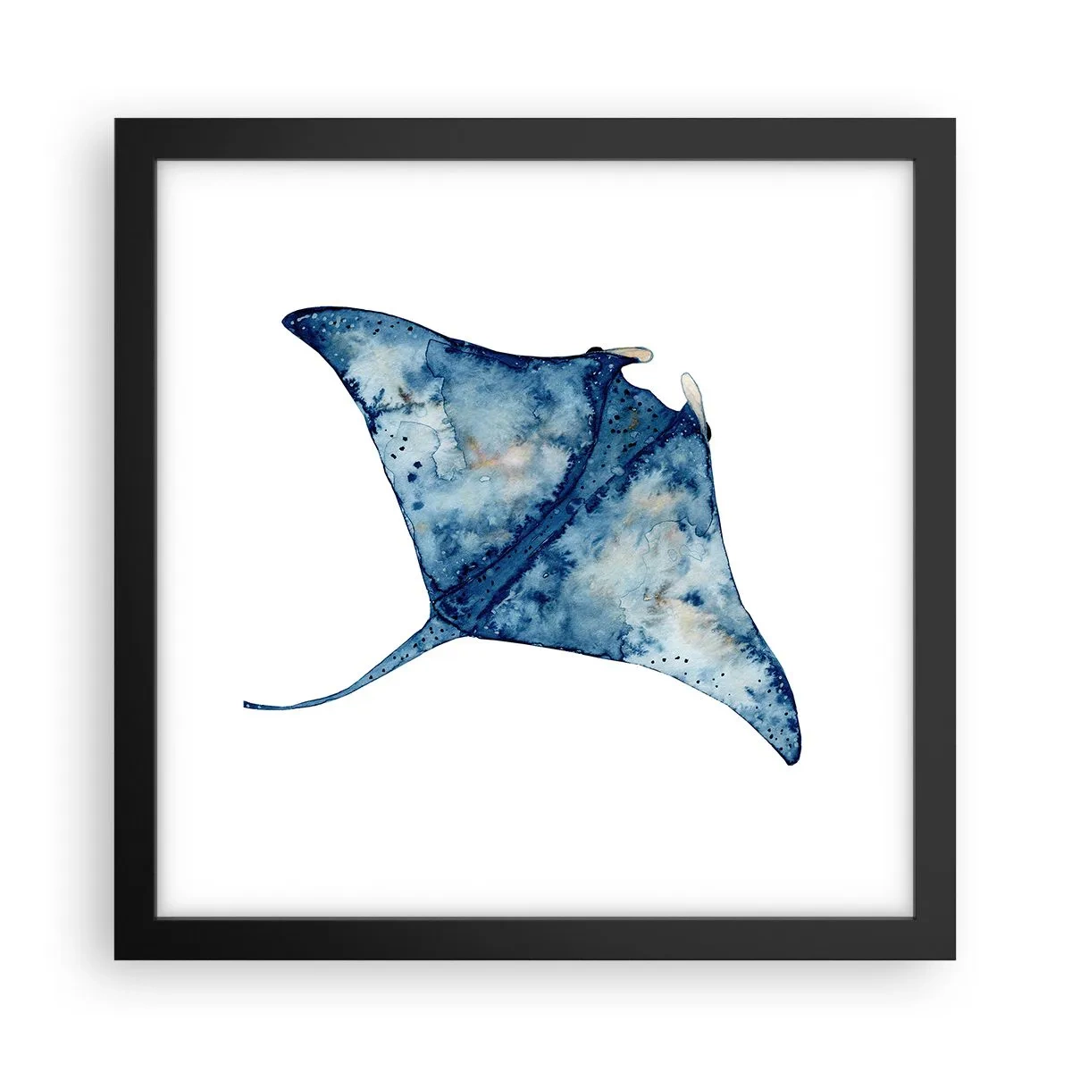 Affisch i svart ram - Liv i blått - 30x30 cm