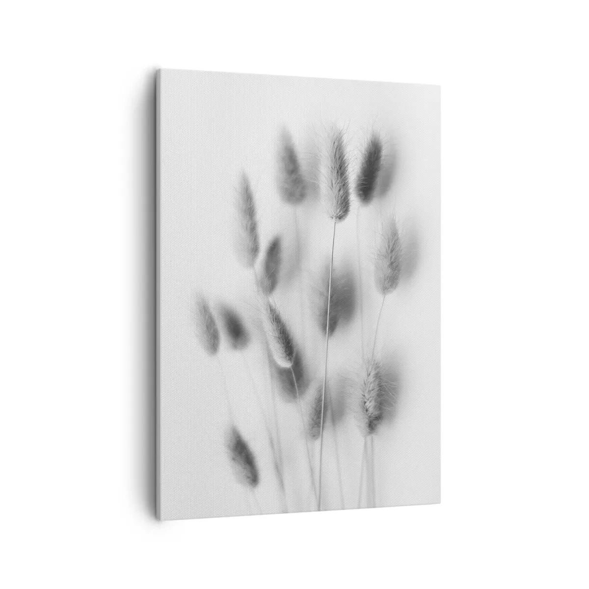Canvastavla - Bild på duk - Fluffigt gräs - 50x70 cm