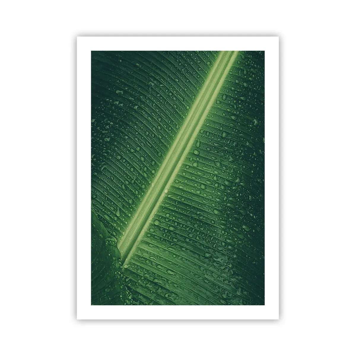 Affisch - Grönskans struktur - 50x70 cm
