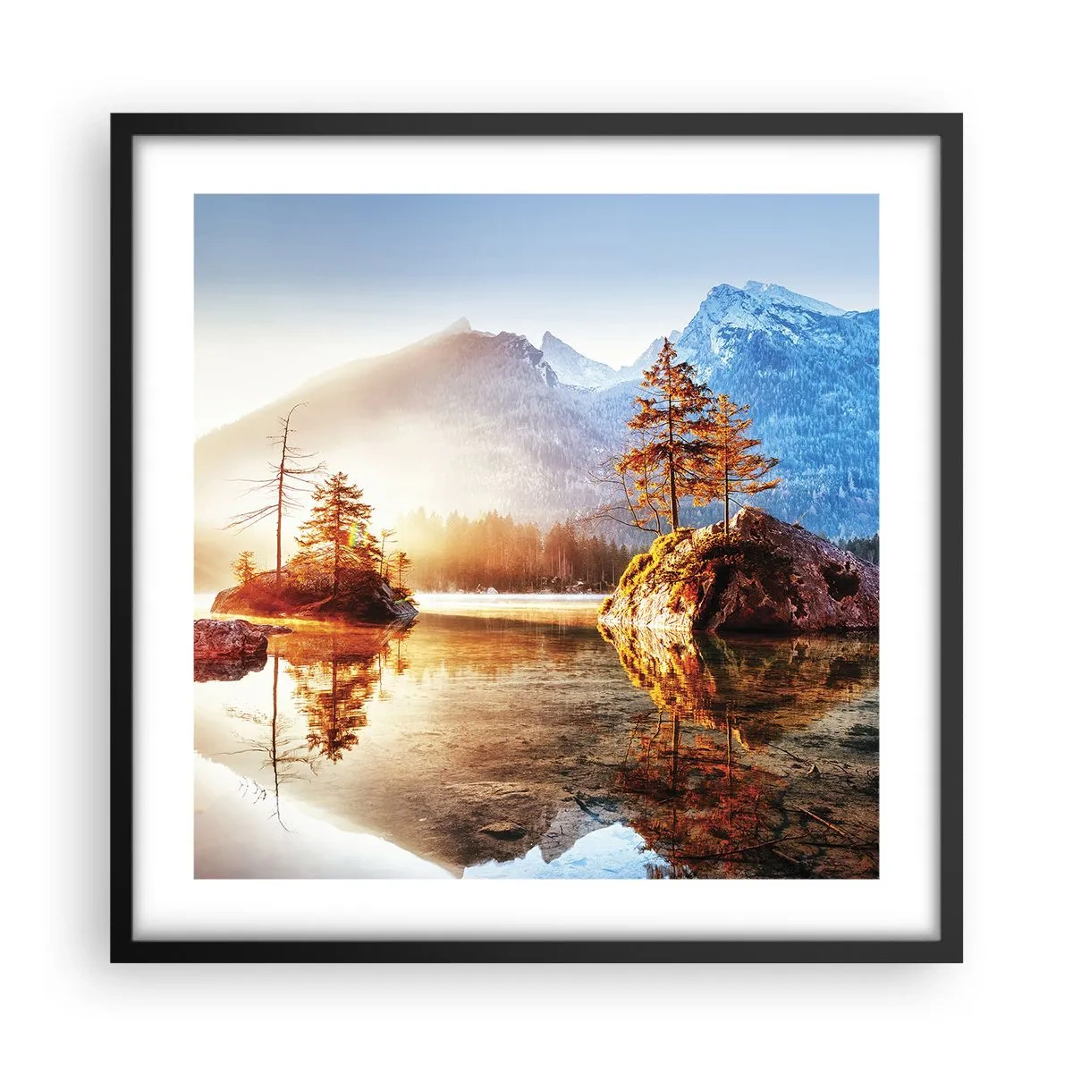 Affisch i svart ram - Naturen i ett nytt ljus - 50x50 cm