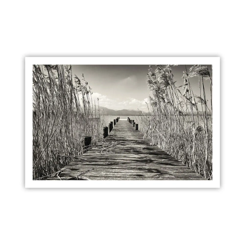 Affisch - I gräsets fristad - 91x61 cm