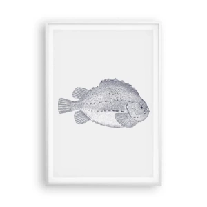 Affisch i vit ram - Till naturforskarens album - 70x100 cm