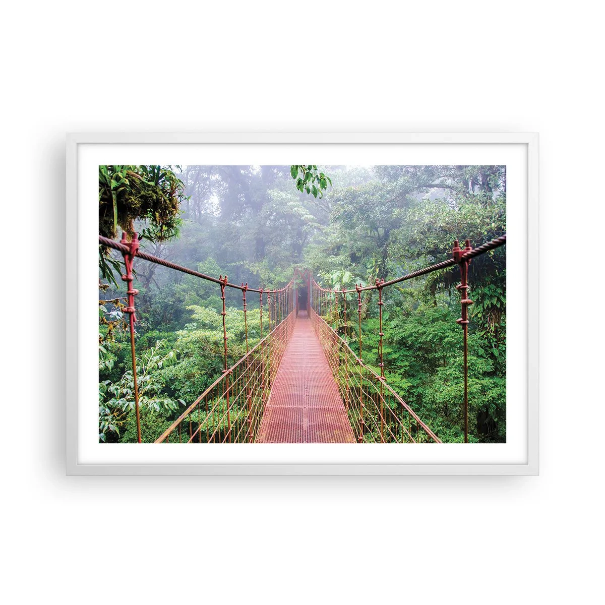 Affisch i vit ram - Upphängd i trädkronorna - 70x50 cm