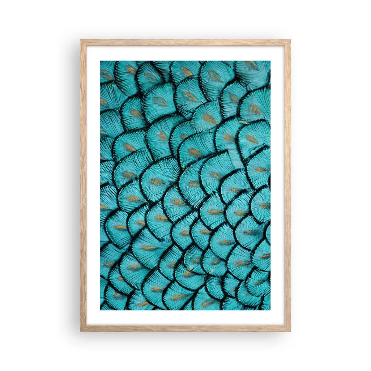 Affisch i ram av ljusek - Den stora fjädergalan - 50x70 cm