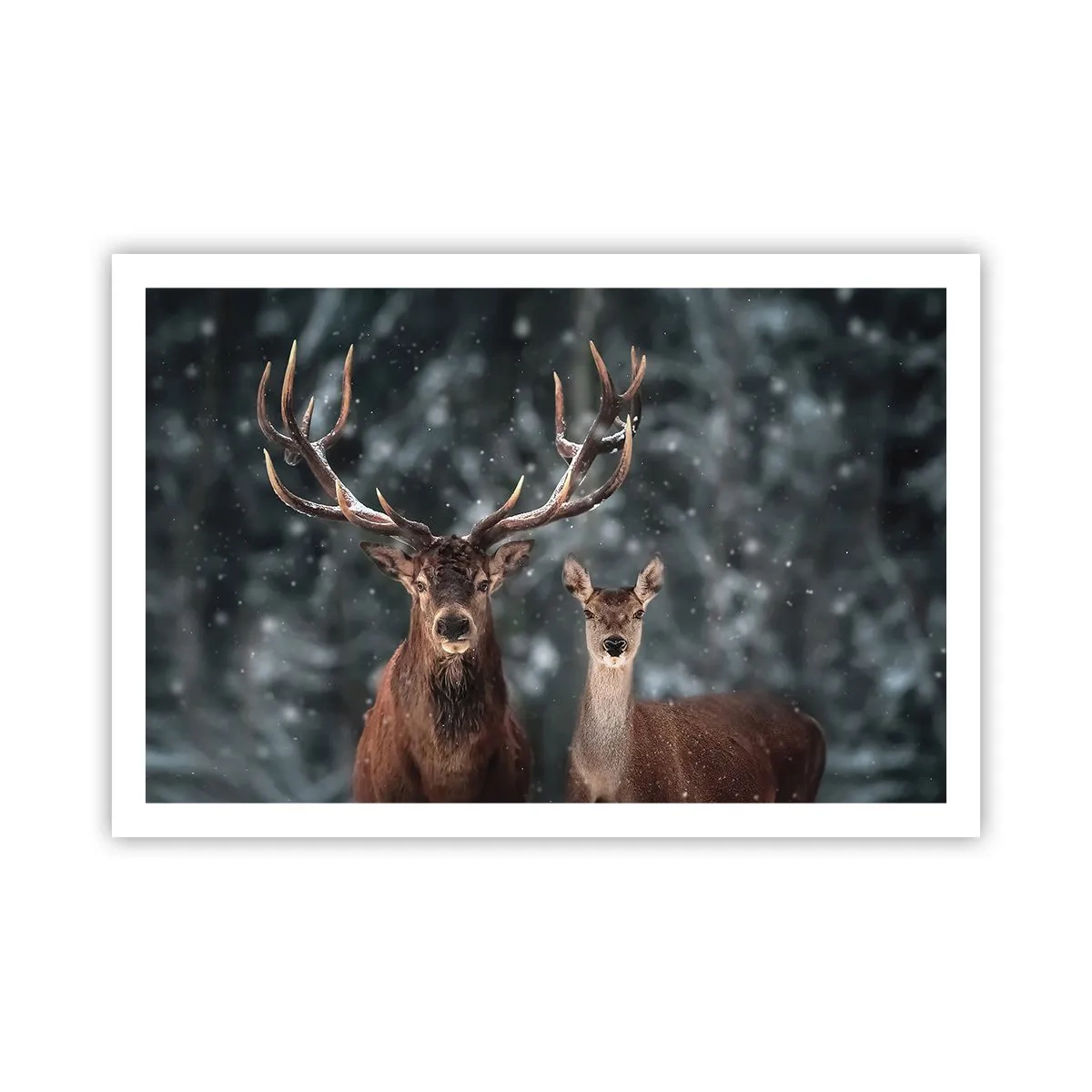 Affisch - Skogens herre med hustrun - 91x61 cm