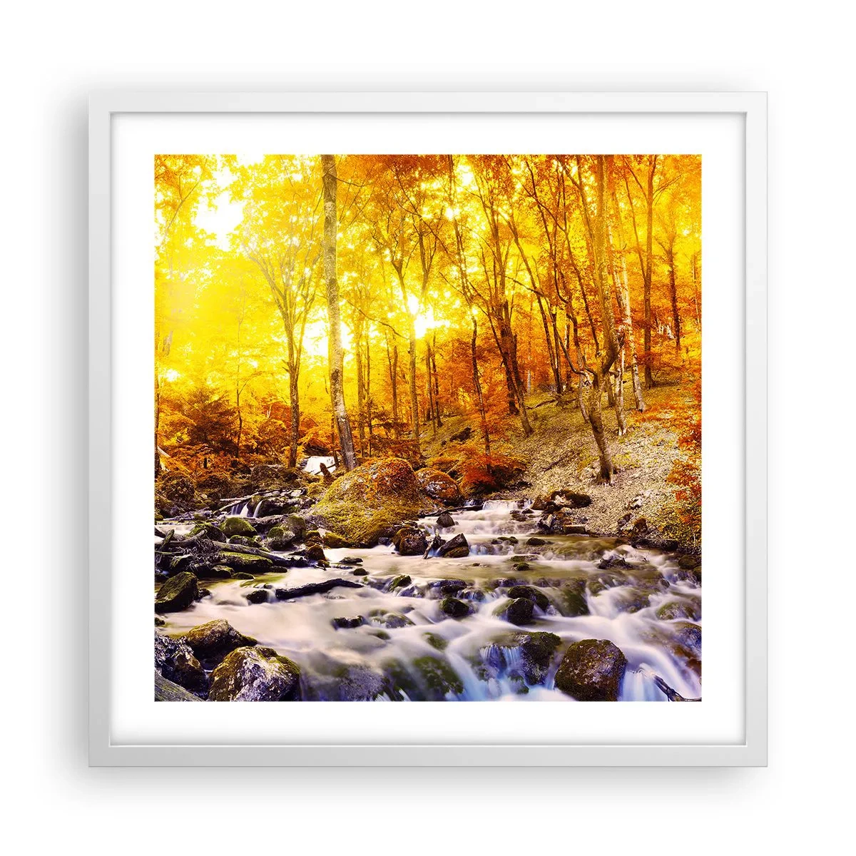 Affisch i vit ram - Stenar infattade i guld och platina - 50x50 cm