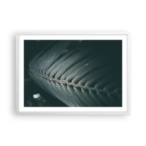 Affisch i vit ram - Naturens precision - 70x50 cm