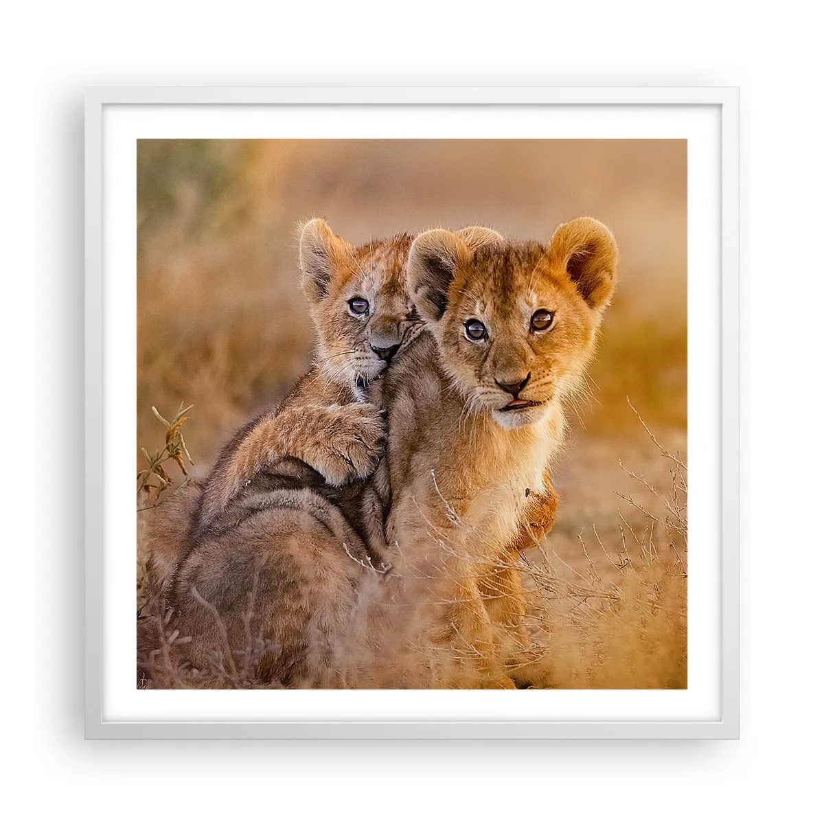 Affisch i vit ram - Stör inte! Vi har kul - 60x60 cm