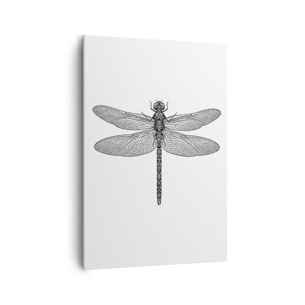 Canvastavla - Bild på duk - Precision i naturen - 70x100 cm