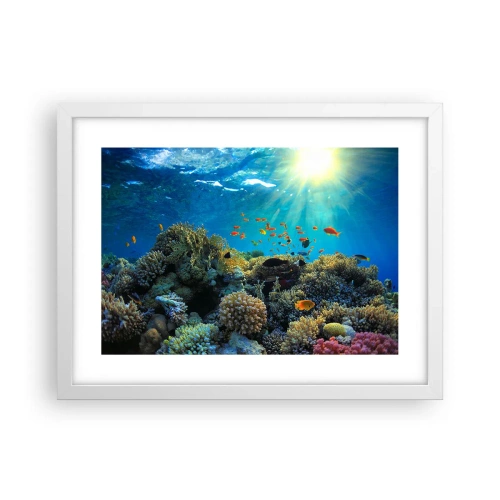 Affisch i vit ram - Undervatenskatter - 40x30 cm
