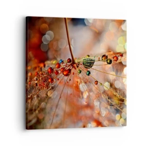 Canvastavla - Bild på duk - Trädda på spindelnät - 30x30 cm