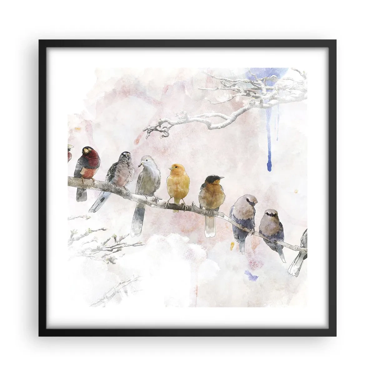 Affisch i svart ram - Bevingat möte - 50x50 cm