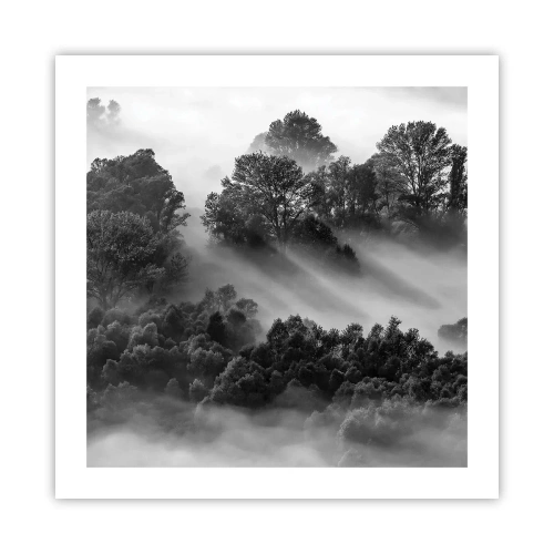 Affisch - Stiger ur sömnen - 50x50 cm