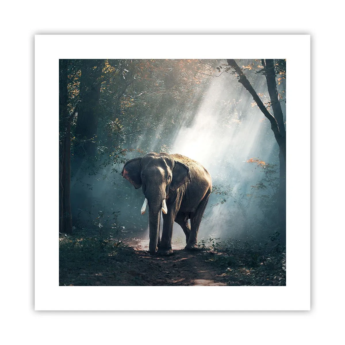 Affisch - Lugn promenad - 40x40 cm