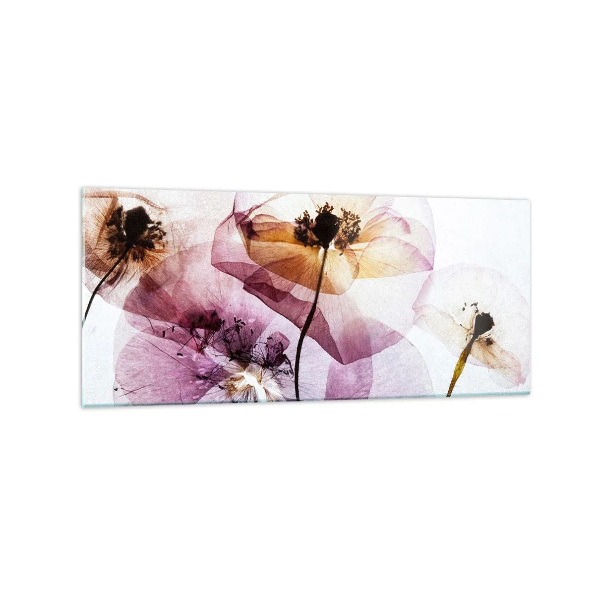 Glastavla - Bild på glas - Blommornas transparenta kroppar - 120x50 cm