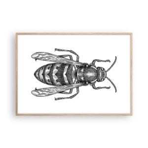 Affisch i ram av ljusek - Från insektplaneten  - 100x70 cm