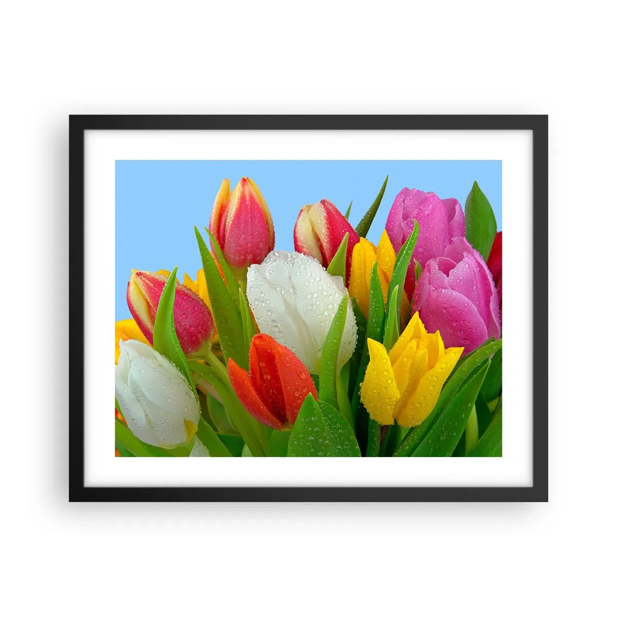 Affisch i svart ram - blommig regnbåge i daggdroppar - 50x40 cm
