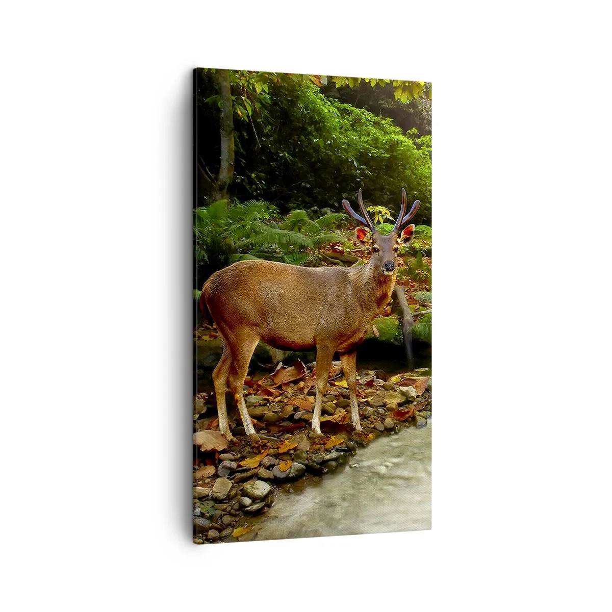 Canvastavla - Bild på duk - Välkommen till min värld - 45x80 cm