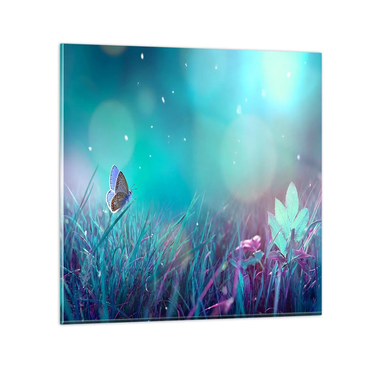 Glastavla - Bild på glas - Ängens hemliga liv - 30x30 cm