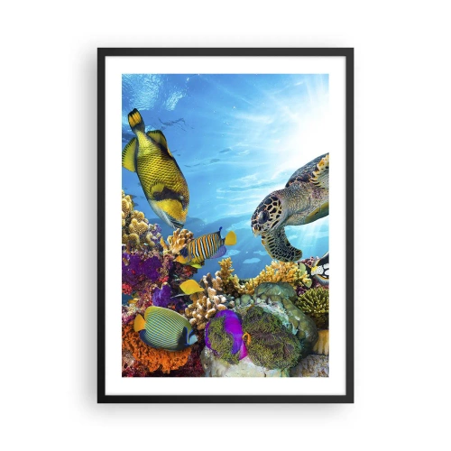 Affisch i svart ram - Färgglatt marint liv med fisk och sköldpadda i tropiska vatten - 50x70cm - Korallpromenad - Modern väggdekoration för vardagsrum och sovrum ARTTOR