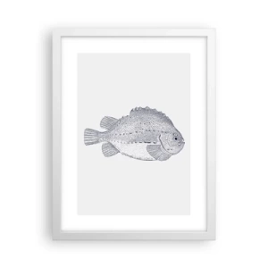 Affisch i vit ram - Till naturforskarens album - 30x40 cm