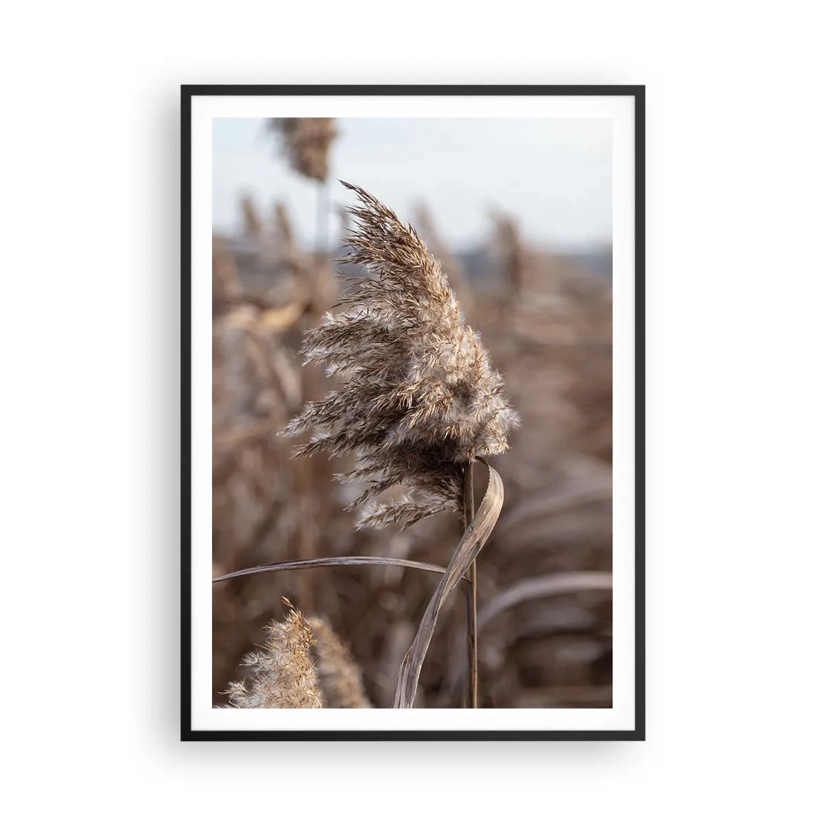 Affisch i svart ram - Dags att flyga bort med vinden - 70x100 cm