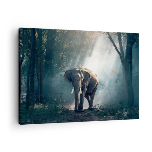 Canvastavla - Bild på duk - Elefant i skogens ljus - 70x50cm - Lugn promenad - Modern väggdekoration för vardagsrum och sovrum ARTTOR