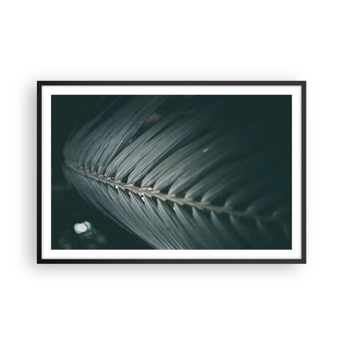 Affisch i svart ram - Naturens precision - 91x61 cm