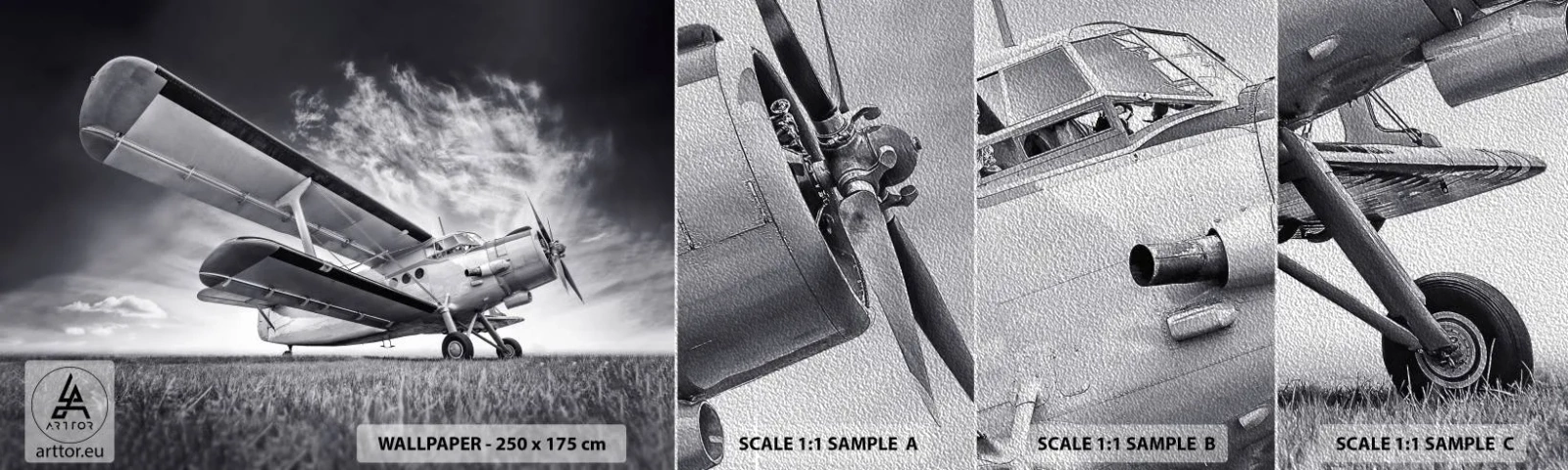 Provbit av fototapet Premium Sand - Bevingad vandrare - Plan, Flygplan, Svartvitt - 100x30 cm