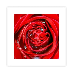 Affisch - Daggdroppar - 30x30 cm