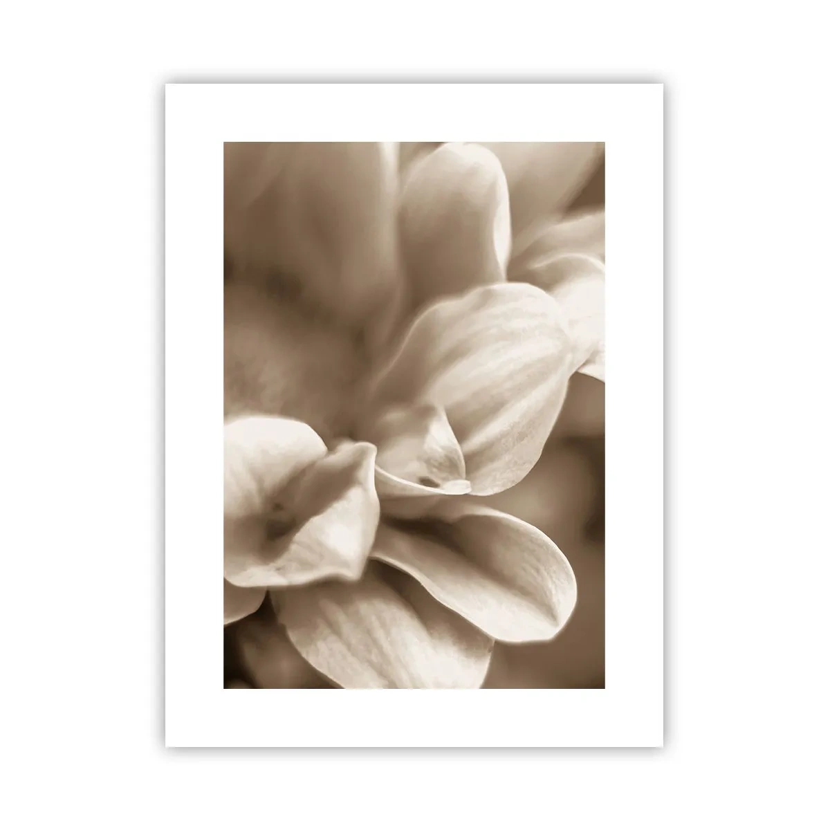 Affisch - Milda som ett leende - 30x40 cm