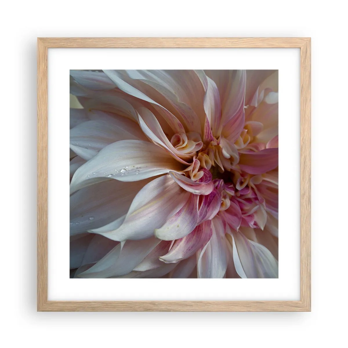 Affisch i ram av ljusek - Blommande friskhet - 40x40 cm